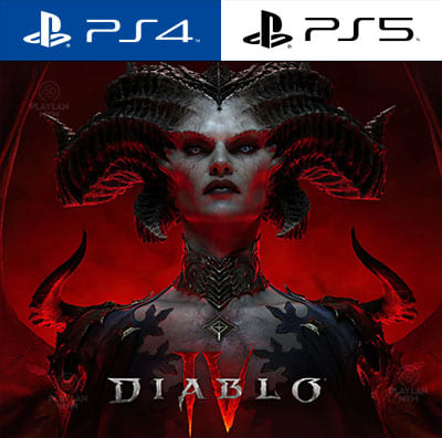 Diablo IV Standard Edition