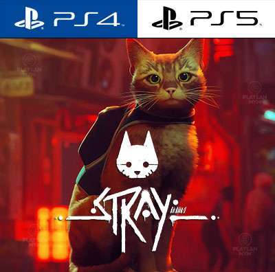 Stray